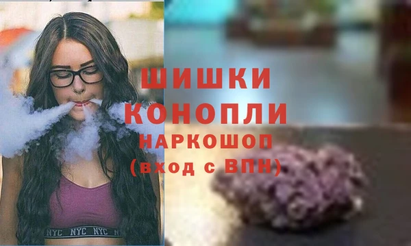 стаф Баксан
