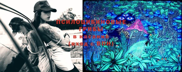 шишки Балабаново