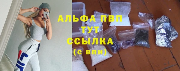 стафф Нефтекумск