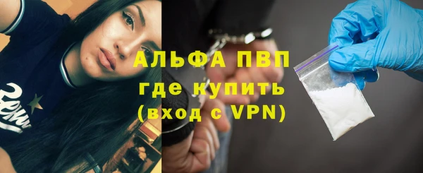 стаф Баксан