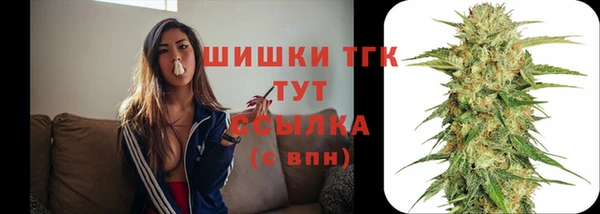 стаф Баксан