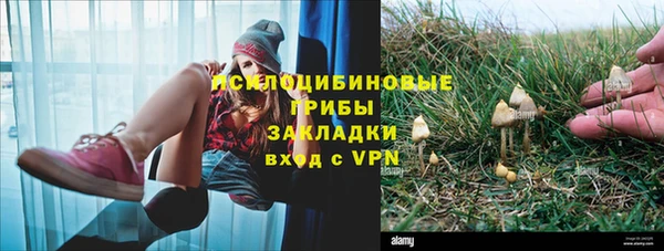 шишки Балабаново