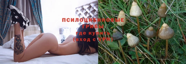 хмурый Балахна