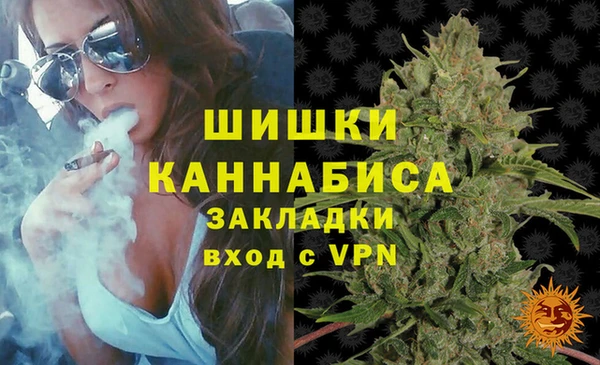 шишки Балабаново