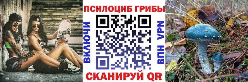 Галлюциногенные грибы Psilocybine cubensis Шагонар